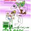 کتاب خواندن و املا به روش بازی پایه اول ابتدائی سالار فرامرزی نشر انتشارات یار مانا